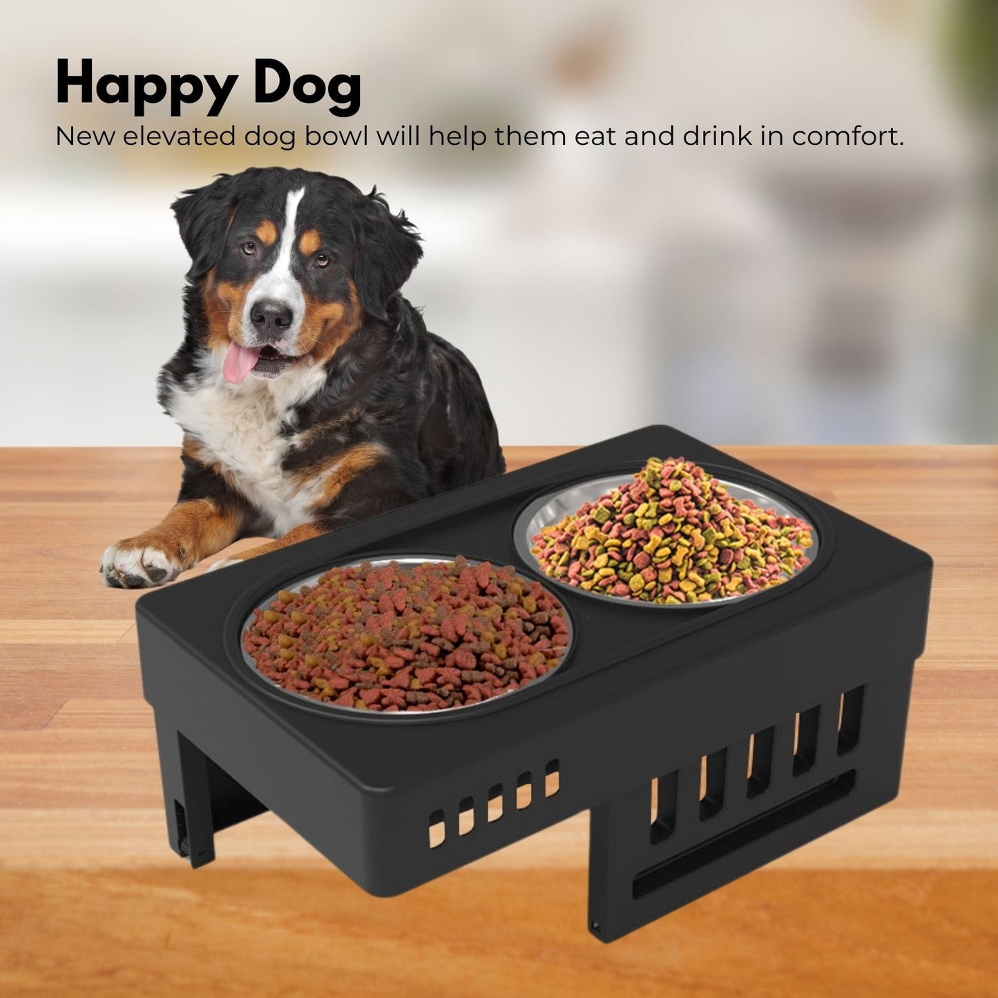 Raised Pet Feeder with Double Bowl - Black