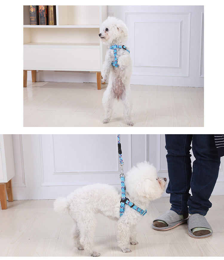 2x Medium Dog Harness - 5 Colours