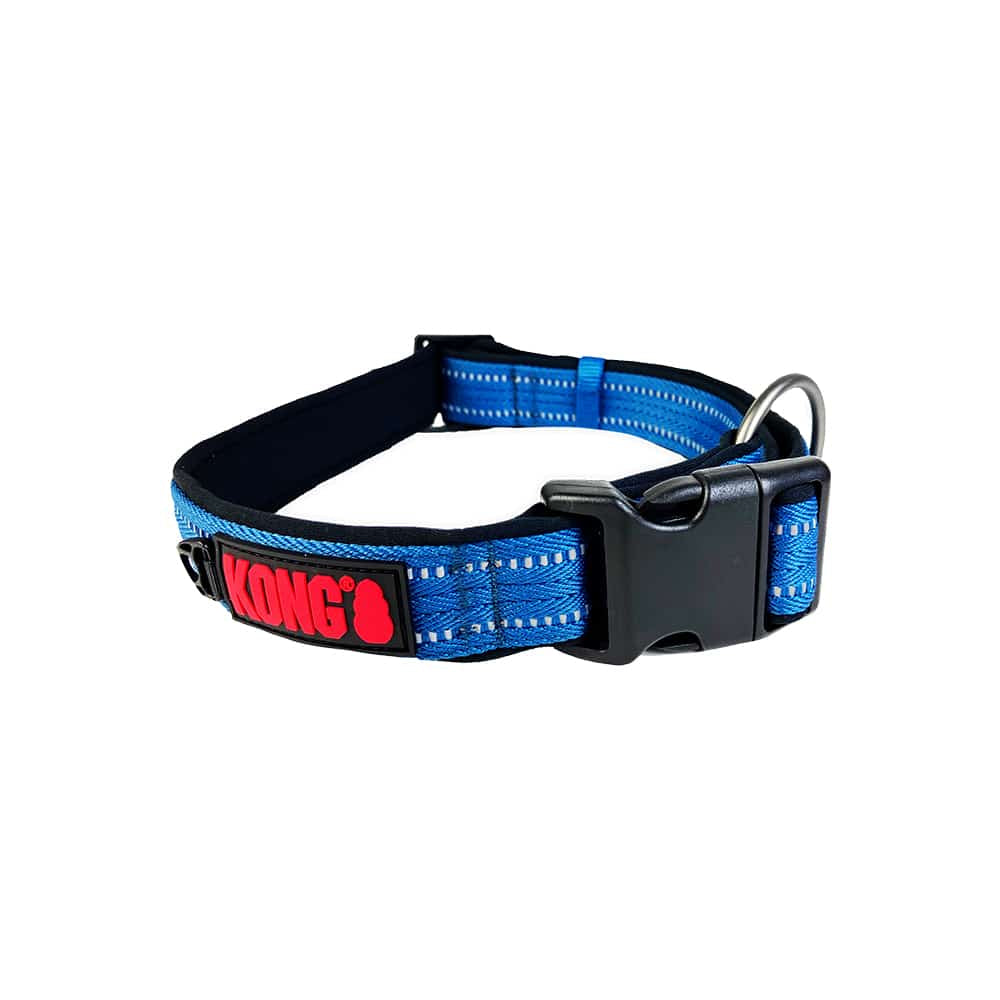 Medium KONG Nylon Blue Collar