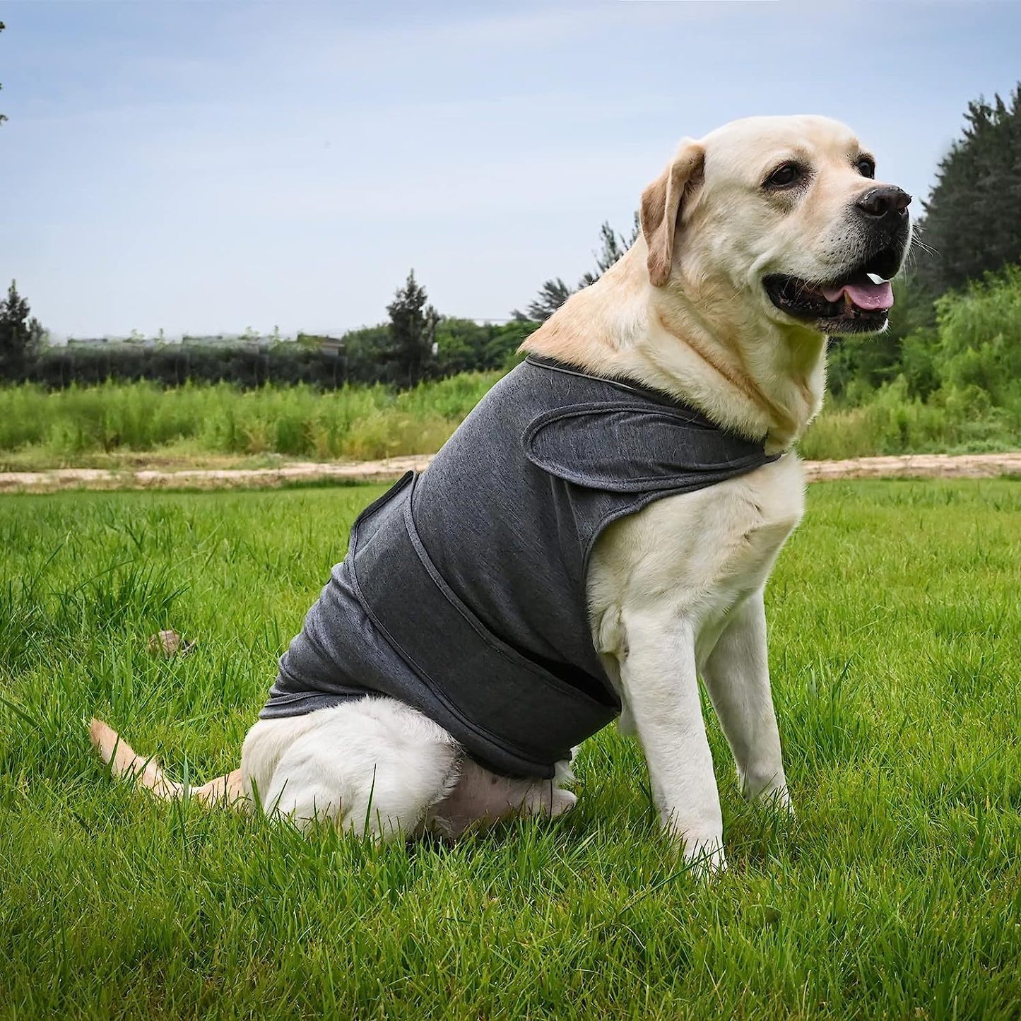 XS Dog Vest Jacket