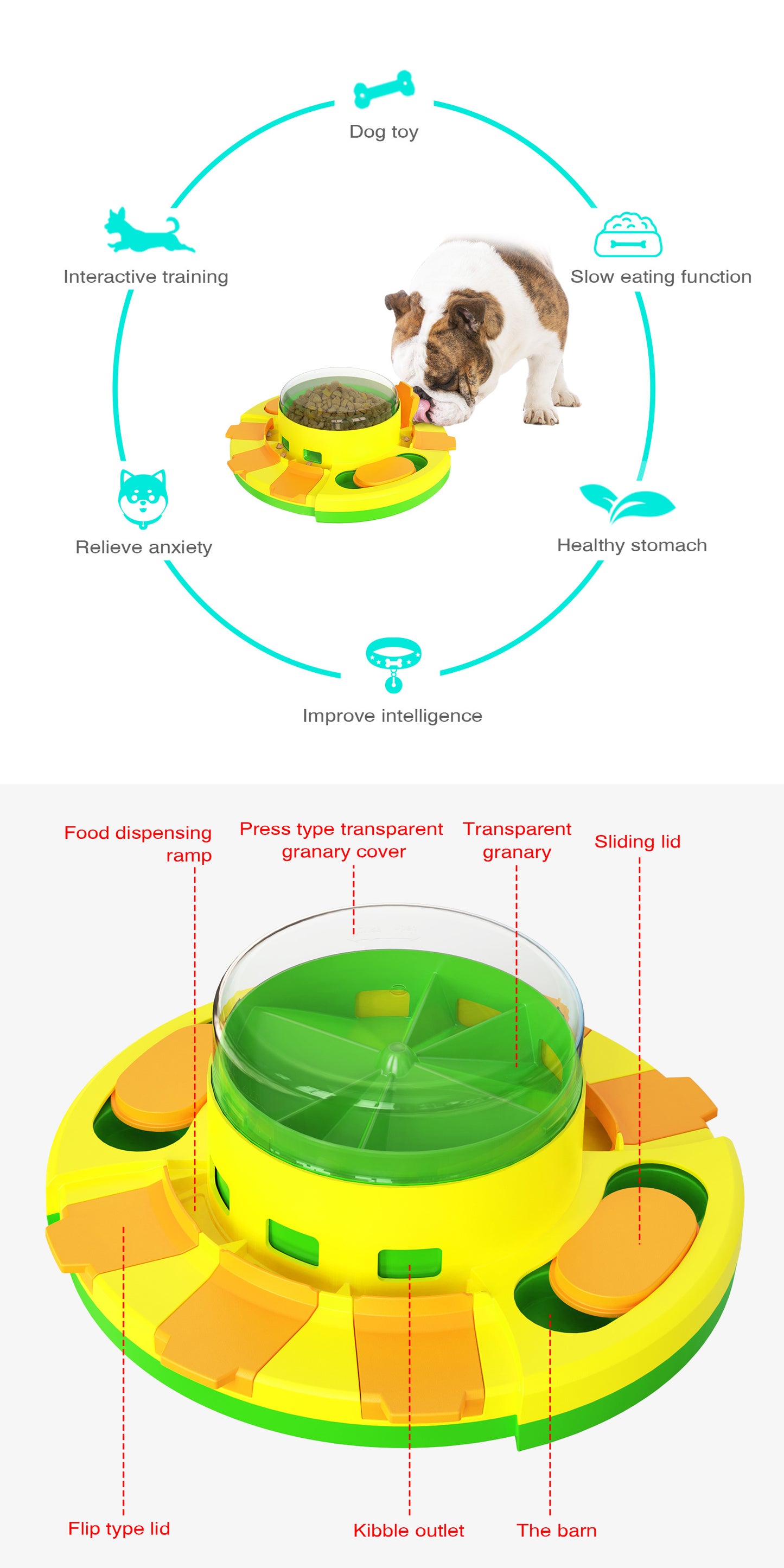 Green Interactive Dog Puzzle Toy