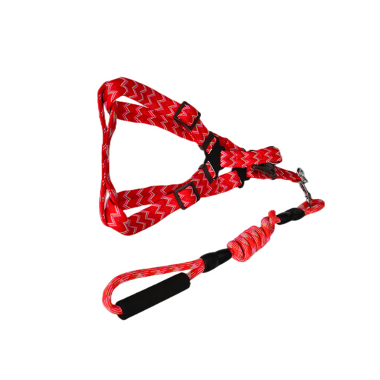 2x Medium Dog Harness - 5 Colours