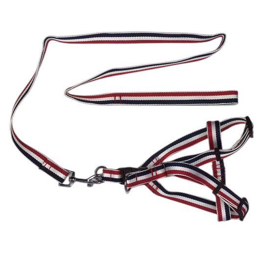 2x Large Dog Harness