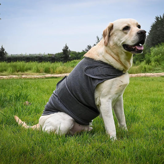 XS Dog Vest Jacket